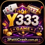 Y333 Game